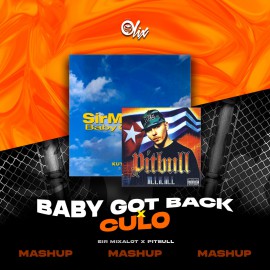 Pitbull x Sir Mix A Lot - Culo x Baby Got Back - OlixDJ - Tik Tok Mashup - 125Bpm