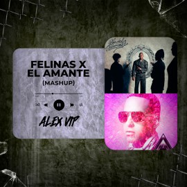 Felinas x El Amante - Juseph, SAIKO, Daddy Yankee, J Alvarez (Alex Vip Mashup) 90 BPM