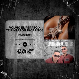 Yandar, Yostin,Dei V - VOLVIÓ EL PERREO x Te Pintaron Pajaritos (Alex Vip Mashup) 96 BPM