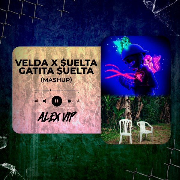 Bad Bunny, Omar Courtz, Dei V, Clarent - VeLDA x $UELTA GATITA $UELTA (JefsX Mashup) 92 - 100 BPM