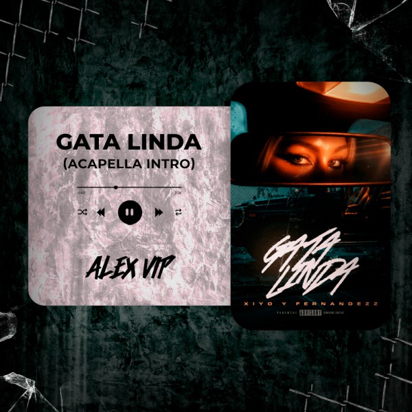 Xiyo, Fernandezz, dn.aire - Gata Linda (Alex Vip Acapella Intro) 80 BPM