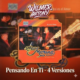Pensando En Ti - Agua Marina - 04 Vers - Wilmer Antony