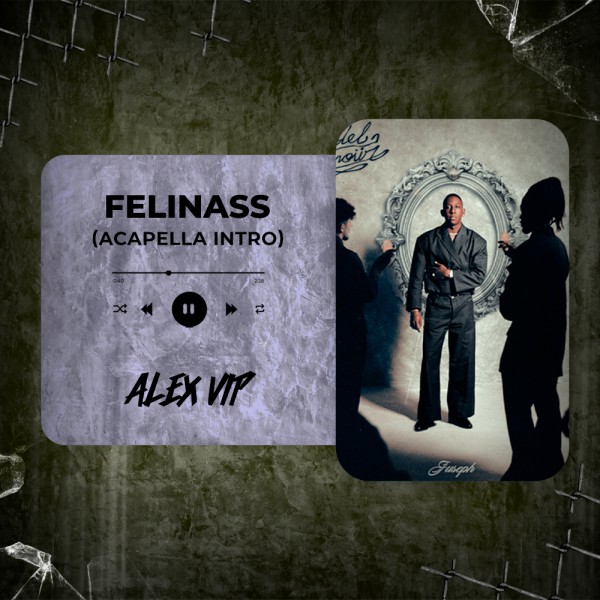 Juseph, SAIKO - FELINASS (Alex Vip Acapella Intro) 88 BPM