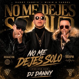 Daddy Yankee, Wisin & Yandel - No Me Dejes Solo - DJ DANNY - Intro Open Show - 96Bpm