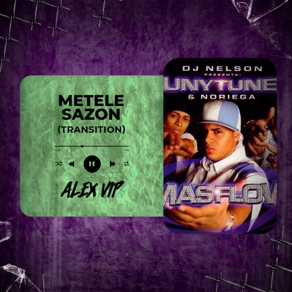 Tego Calderon - Metele Sazon (Alex Vip Transition) 94 - 124 BPM