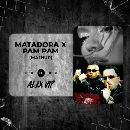 Wisin, Yandel, KAROL G - Pam Pam x Matadora (Alex Vip Mashup) 95 BPM