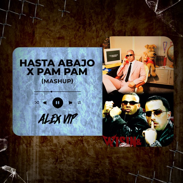 Wisin, Yandel, Ivy Queen - Hasta Abajo x Pam Pam (Alex Vip Mashup) 95 BPM