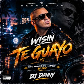 Wisin - Te Guayo - DJ DANNY - Intro BreakDown & Acapella - 2 Versions - 89Bpm