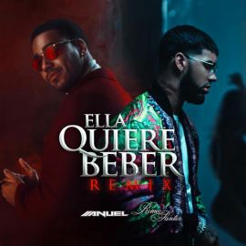 Pandora Ft Anuel & Romeo - Los Peces En El Rio x Quiere Beber - Mashup Navideño - 095Bpm - CarloKou