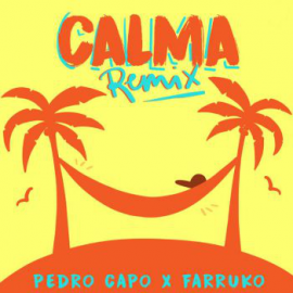 Pedro Capo Ft. Farruko - Calma - Dj Maicol Remix - Reggaeton Redrums - Coro Intro Outro - 90BPM - ER