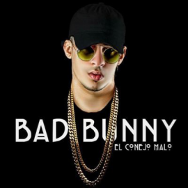 Solo de Mi - Bad Bunny - Reggaeton - Intro - Outro - Rework FX - FredEdits - 90 bpm
