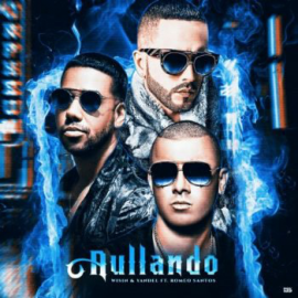 Aullando - Wisin & Yandel Ft Romeo Sanrtos - Break Acapella - DjBuba 90 Bpm ER