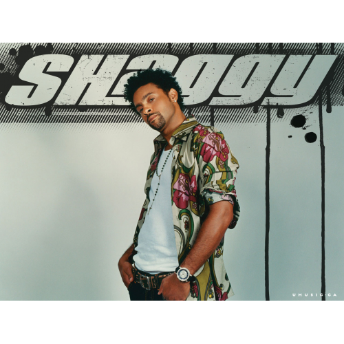 Shaggy Feat Rayvon - In The Summertime - Intro Outro - 94 BPM - Dj Martinez ER