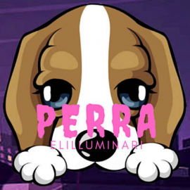 Perra - Elilluminari - Intro Break - DjBuba 100 Bpm ER