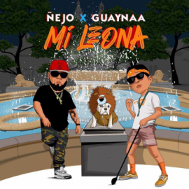 Nejo Ft Guaynaa - Mi Leona - Reggaeton (Intro & Outro) - Break - 87 bpm