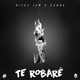 Nicky Jam Ft. Ozuna - Te Robare - Dj Maicol Remix - Reggaeton - Intro Outro - 88BPM - ER