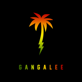 PACK REGGAETON - FARRUKO - GANGALEE -