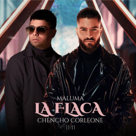 Maluma, Chencho Corleone - La Flaca - Reggaeton (Intro & Outro) - Break  - 95 bpm