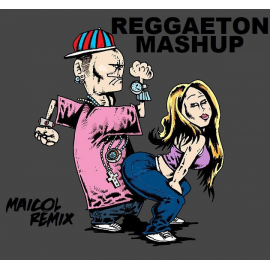 Reggaeton Mashup Open Show - Dj Maicol Remix - 95BPM - ER