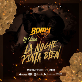 Miguel Prado Ft. J.A.R.E.D & Romy - La Noche Pinta Bien - Dj Romy - Intro - Reggaeton 98BPM - ER