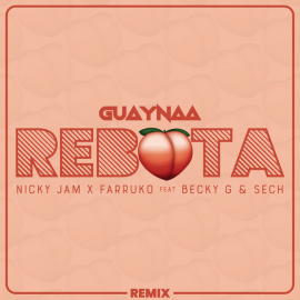 Guayna Ft. Varios - Rebota Remix - Dj Maicol Remix - Reggaeton - Intro Breakdown Outro - 95BPM