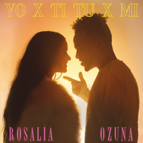 Ozuna Ft. Rosalia - Yo Por Ti Tu Por Mi - Dj Maicol Remix - Dancehall - Intro Outro - 96BPM - ER