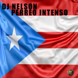 Dj Nelson - Perreo Intenso - Intro Outro - ClubEdit - 104Bpm - CarloKou