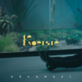 Arcangel - Te Esperare - Intro Outro - Break Coro - 084Bpm - CarloKou