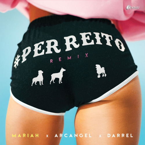 NFasis & Mark B x Mariah Ft. Arcangel & Darell - Roce x Perreito Remix - Open Starter Mashup - 096Bpm - CarloKou