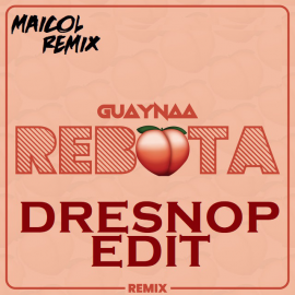 Guaynaa Ft. Dresnop Edit - Rebota - Dj Maicol Remix - Transition - Reggaeton 100BPM To Aleteo Guaracha Remix 130BPM - ER