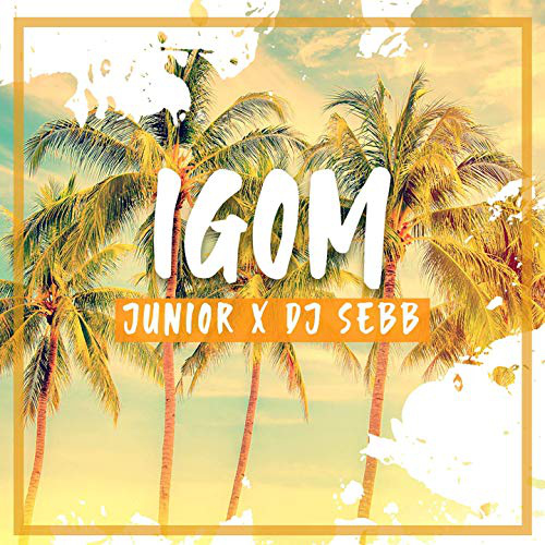 Junior Feat Dj Sebb - Igom - Dutch (Intro & Outro) - Break 102 bpm