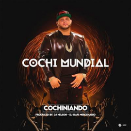 Cochinola - Cochinear - Dj Maicol Remix - Reggaeton - Intro Outro - 97BM - ER