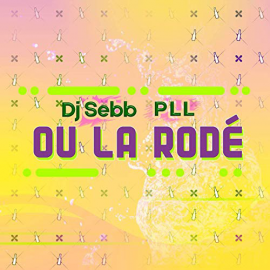 PLL Feat Dj Sebb - Ou La Rodé - Dutch (Intro & Outro Break) - 101bpm 