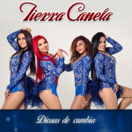 Tierra Canela - Mosaico Picoteando Por Ahi - Victor Cuenca DJ Nitro - Intro Mix Personal - BPM - 105