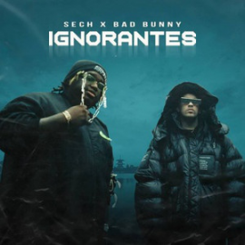 Bad Bunny x Sech - Ignorantes - Pack 3 Track - Intro Coro - Play Game - 96BPM - DJRomy - ER