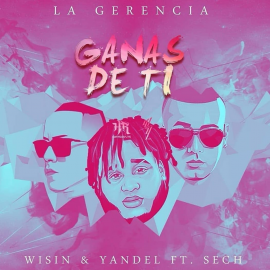 Wisin & Yandel Ft. Sech - Ganas de Ti - Mashup & Acapella - 2 Versiones - CarloKou