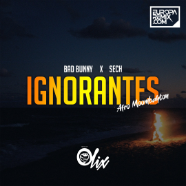 Bad Bunny, Sech - Ignorantes - OlixDJ - AfroMoombahton Remix - 102bpm