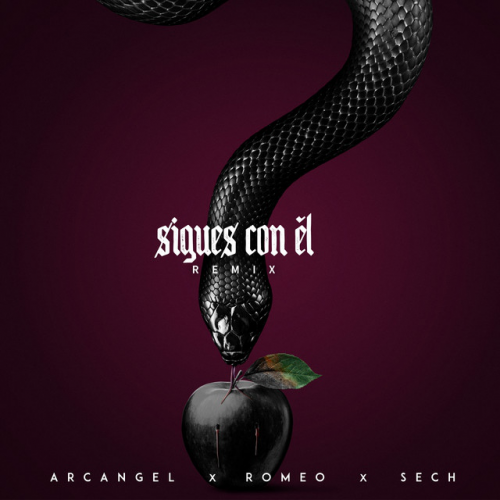 Arcangel Ft. Sech & Romeo Santos - Sigues Con El (Remix) - Dj Maicol Remix - Pack 2 Versiones - ER