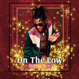 Burna  Boy - On The Low - Afrobeat (Intro & Outro) - Break - 100 bpm 