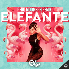 NK x Olix - Elefante - OlixDJ - Afro Moombahton Remix - 100Bpm