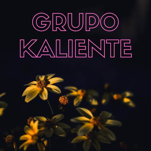 Kaliente - El Embrujo - Cumbia - Intro - Outro - KICK - 101 Bpm - DJ C-MixX