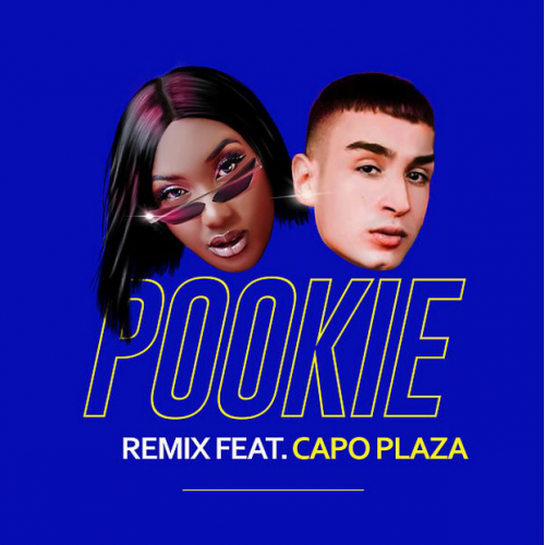 Aya Nakamura x Capo Plaza - Pookie (Remix) - 3 Versiones - (Soul) - DJ Romy