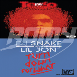 DJ Snake x Tego Calderon - Turn Down for What x Pa Que Retozen - Game - 100-98BPM - DJ Romy