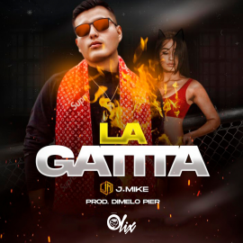 J Mike x Pierzone x Olix - La Gatita - OlixDJ - Afro Moombahton Remix - 100Bpm