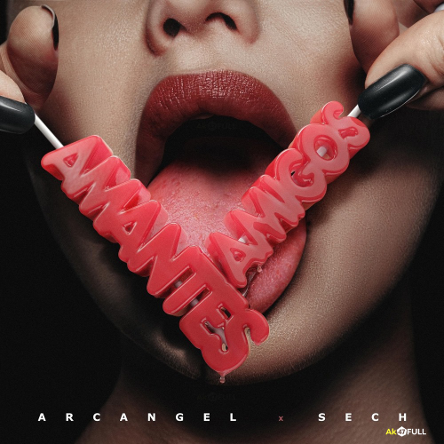 Arcangel Ft. Sech - Amantes Y Amigos - DJ Maicol Remix - Intro Outro - 90BPM - ER