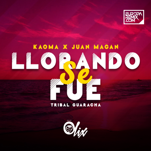 Kaoma x Juan Magan x Olix - Llorando Se Fue x Suave - OlixDJ - Tribal House Remix - 128Bpm