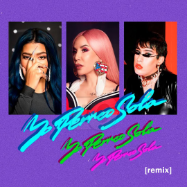 Bad Bunny Ft. Nessi & Ivy Queen - Yo Perreo Sola (Remix) - DJ MAICOL REMIX - Intro Breakdown - 97BPM - ER