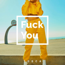 Tosca - Fuck You - Intro Outro - Transition ReggaetonToAleteo - 098-132Bpm - DJ CARLO KOU