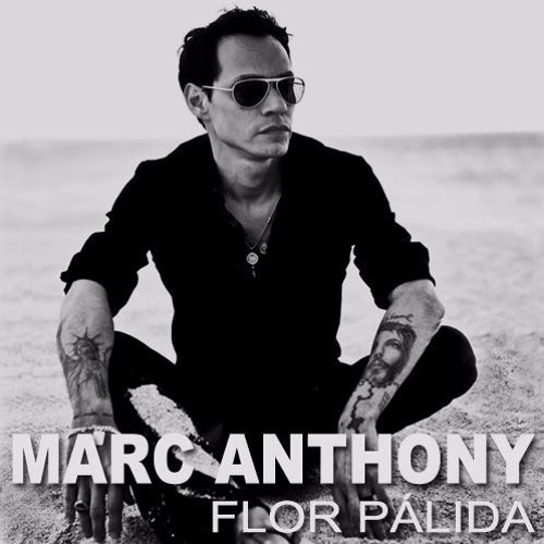 Flor Palida - Percapella y Simple Intro - Steady - Marc Anthony - 95 BPM - DJ C-MixX - 2 Versiones