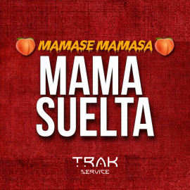 Dj Raulito - Mamase Mamasa Mamasuelta - Reggaeton - T R A K - Break - 95 Bpm